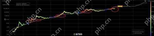 比特币价值趋势研究:四次减半中的价值演化密码