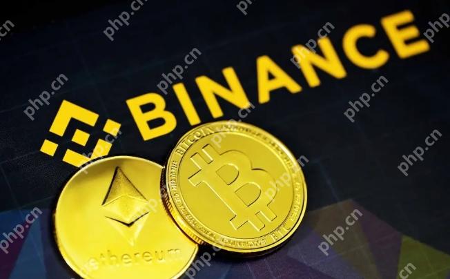 币安官方网页版登录 binance官网入口导航