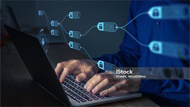 U本位与币本位哪个更适合你?深入分析两者的优劣