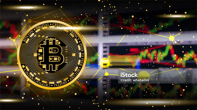 哪个交易所的比特币交易量最大?比特币最大交易所排名