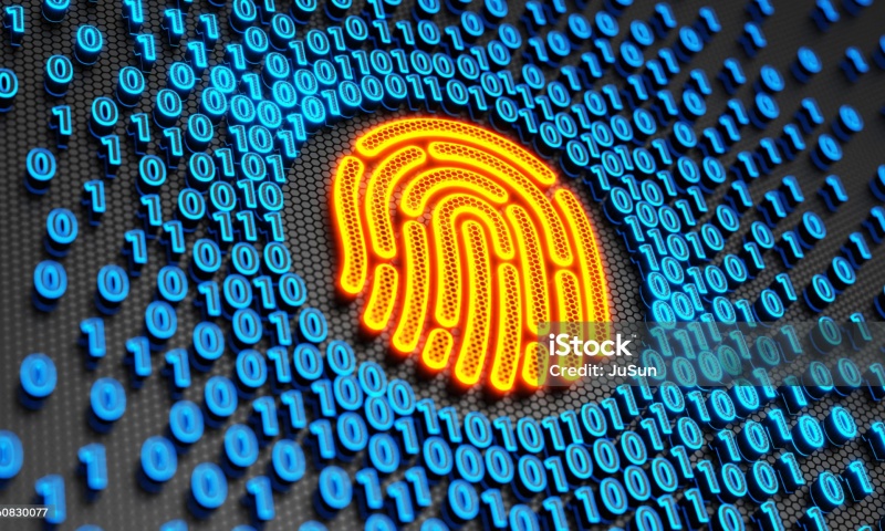 LXT币发行量多少?闪付币LXT的总量与市场分析