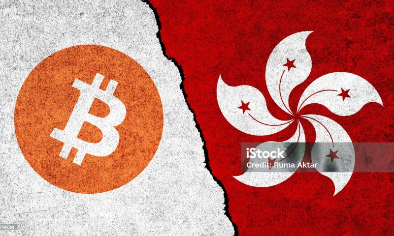 Terra网络是什么?全面解析Terra的生态系统