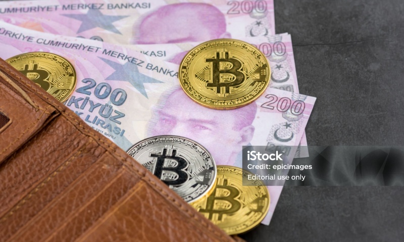 ZED币的发行价是多少?供应量数据一览