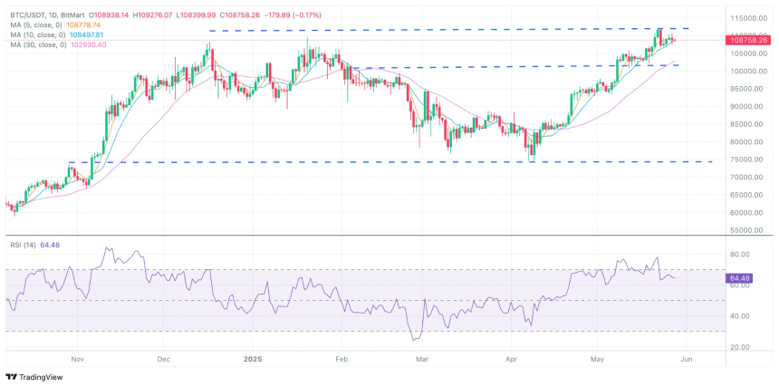 BitMart VIP Insights:加密市场五月回顾与六月展望