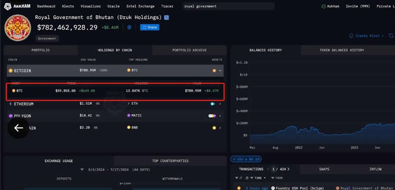 谁是比特币最大持有者?揭秘全球最神秘的财富