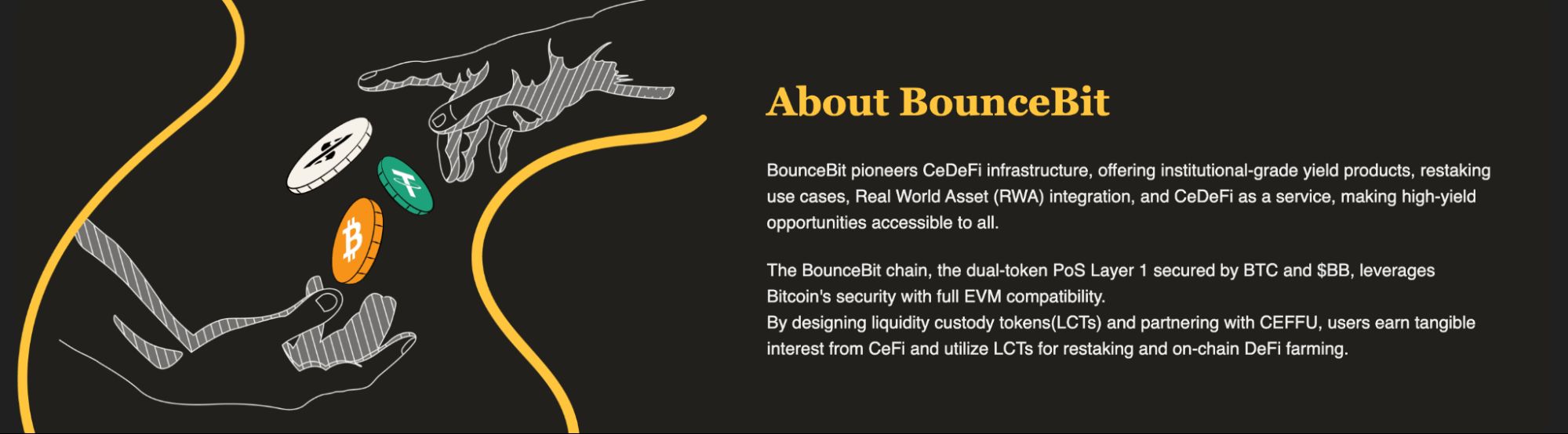 什么是 BounceBit ?运作机制、投资潜力、代币经济学介绍