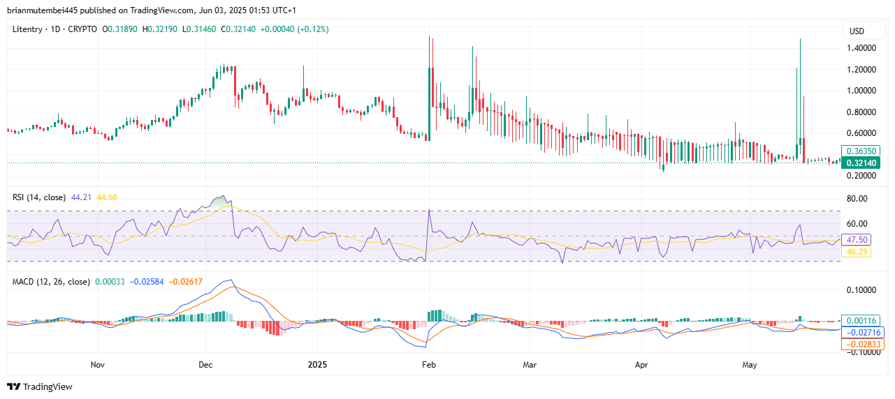 2025年可能暴涨100倍的4种1美元以下山寨币(最新推荐)!