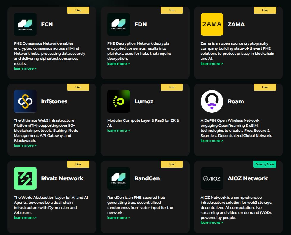 什么是Mind Network?FHE币代币经济、融资、价格预测、核心技术介绍