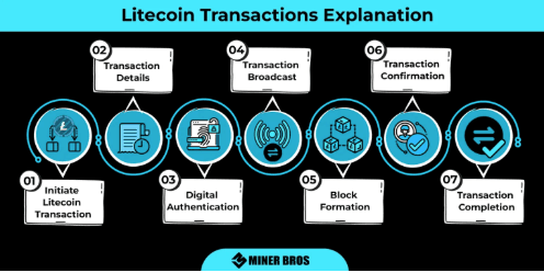 什么是莱特币(LTC)?LTC币供应量、技术基础及投资潜力