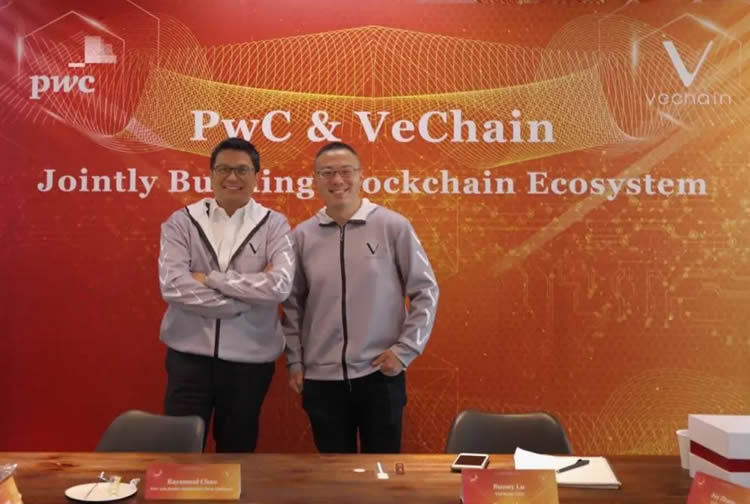 Vechain(VET)币是什么?如何运作?VET代币经济学概述