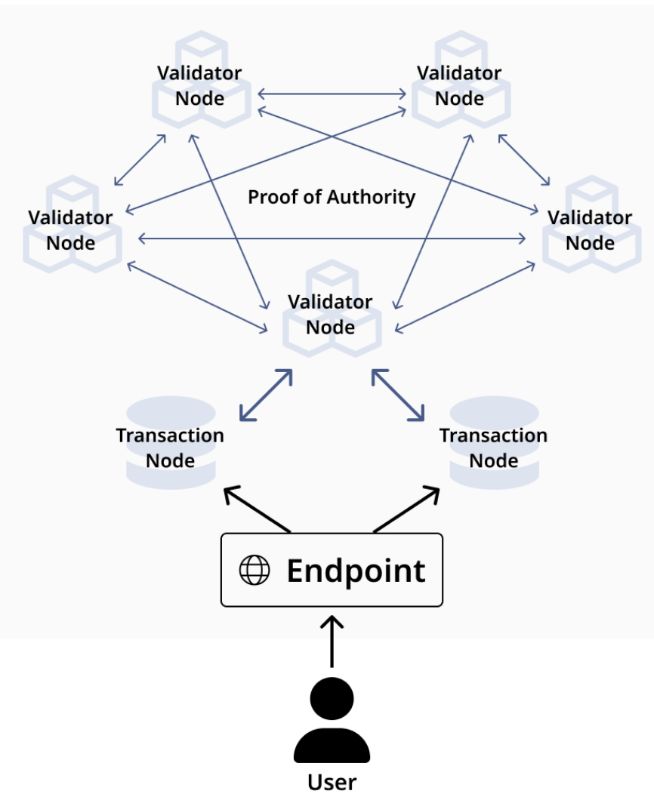 Japan Open Chain(JOC)币是什么?代币经济学、团队背景、未来发展介绍