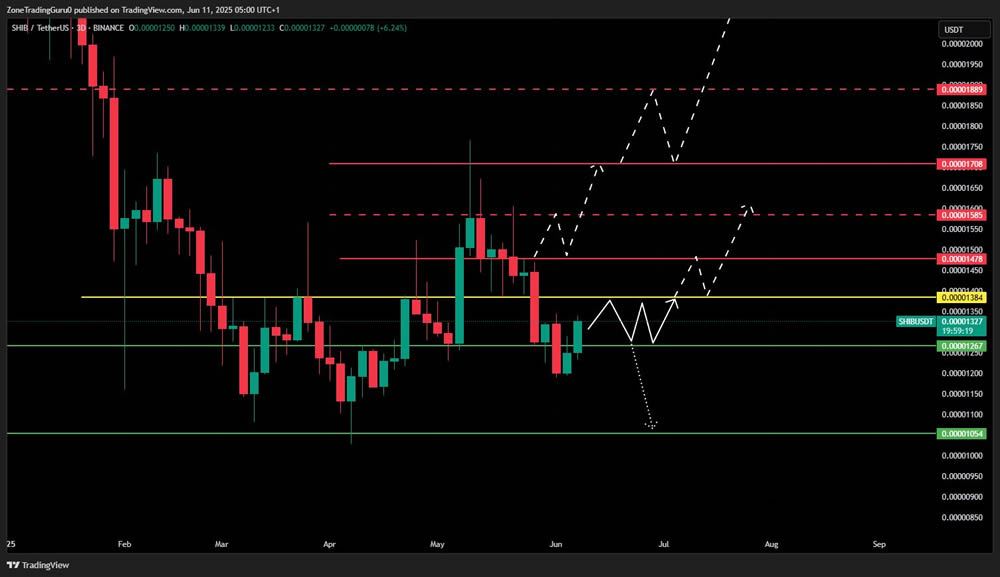 2025年6月柴犬币价格预测:短期SHIB价格预测
