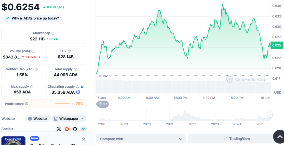 2025年值得投资的加密货币:瑞波币(XRP)、索拉纳(Solana)和卡尔达诺(Cardano)