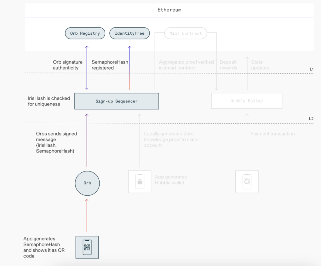 Worldcoin世界币是什么?有何潜力?如何获得免费WLD币空投?