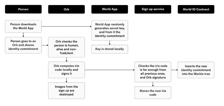 Worldcoin世界币是什么?有何潜力?如何获得免费WLD币空投?