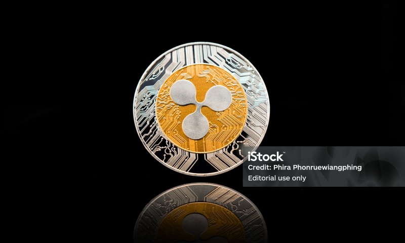 ANY币的发行总量是多少?ANY币总量分析