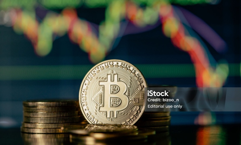 FINA币的发行价格是多少?FINA币的发行时间与市场表现