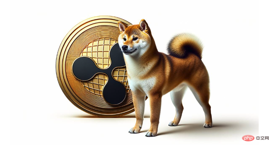 1740555605274974.png QQ20250206-145436.png