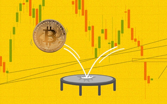 FG币种介绍 | 热门虚拟货币FG投资解析
