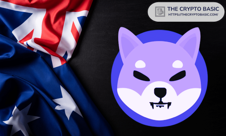 蓝贝壳交易所交易指南 | 平台操作流程详解
