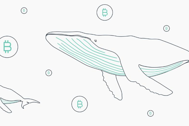 比特币合约交割会跌吗|交割日对市场影响剖析，把握交易先机
