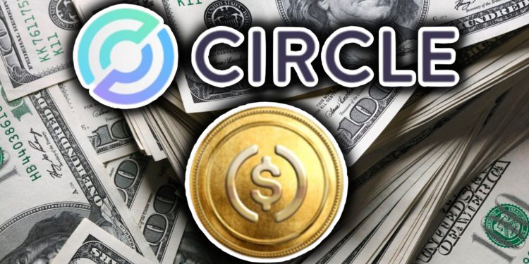 老虎期权怎么操作 | 期权交易入門指南
