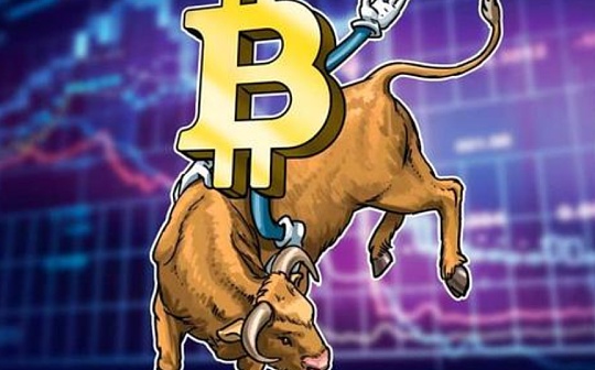 山寨币跌跌不休缘由探究 | 山寨币市场回调深度解析
