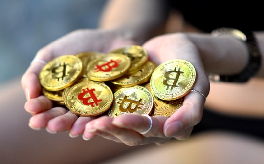 特朗普加密货币解析 | 特朗普概念币投资前景探讨
