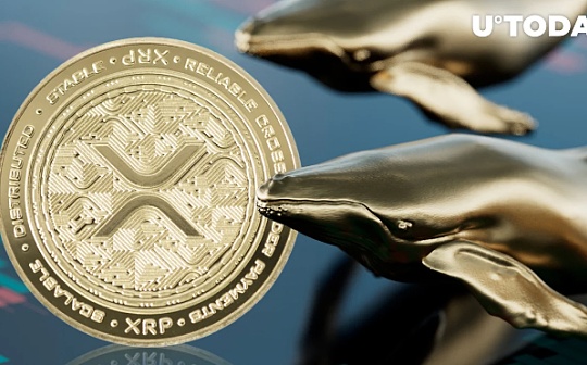 比特币长期持有的价值探讨 | 比特币理财前景分析
